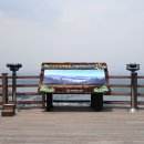 무장애숲 이미지