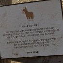 만평농장 | 경북 상주 먹이체험 가능한 카페 "파머스룸" 내돈내산 솔직후기 (+말·양·토끼·염소)