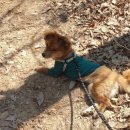 뚜비농장 이미지