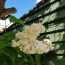 동인세탁 이미지