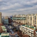 압구정-209 이미지