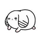 특별한 동물가게 이미지