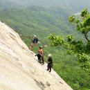 팀베이스 이미지