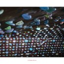 수원-0725 이미지