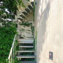 커피와 책이 있는 | 공주 동네책방 또 가고 싶은 감성뷰 찐맛집 독립서점 블루프린트북 카페 책방,잇다 후기