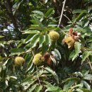 옥마산 공중화장실 이미지