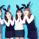 미스터포토 이미지