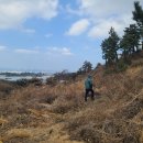 오름농장 | [오름 134] 갯거리오름 [오름 135] 선소오름