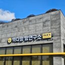 빽다방서귀포올레 | 🍊 제주 여행 중 서귀포 베이커리 카페 추천 빽다방 빵연구소 포장 후기