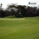 이든골프 | 제주 테디밸리cc 예약 인기좋은 제주도 명문 골프장 후기