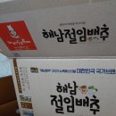 착한써니 | 경산 써니마트에서 수령한 해남 배추 후기!