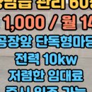 만석 공인중개사사무소 네이버블로그
