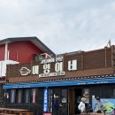 미영이네식당 제주도 <b>미영이네</b> 모슬포항 고등어회 고등어탕 전문 <b>식당</b> 내돈내산 후기