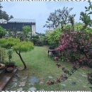 꿈의정원 펜션 이미지