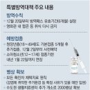 팝콘N