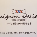 러브애견미용 이미지