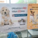 빛고을 동물의료센터 이미지