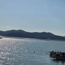 다시마 흑염소 이미지