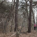 곡성-219 이미지