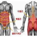 바디코어운동센터 이미지
