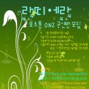 라띠에라 이미지