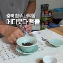 DOUBLE CLICK | 청주 사주 메디붓다 템플 사주풀이 후기