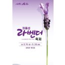 신안타워 이미지