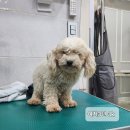 태광중기공업사 이미지