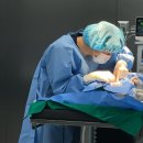 24시 황금동물의료센터 이미지