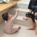 제주혜윰 | 제주 아기랑 숙소 '혜윰가족숙소' 서쪽 한림 가성비 독채펜션 내돈내산 후기