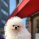 베이비멍 이미지