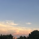 지장로11번길 이미지