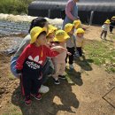 단아농장 이미지