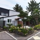 비자림스마일 이미지