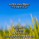 핸드폰 배경화면&잠금화면_20240929_자녀답게 자라나겠습니다!_요한일서 3장 9절_오순절 후 열아홉 번째 주일 묵상_백배의 열매를 이미지