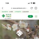2026 1101 동창회 후보지 이미지