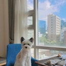 프레이저 플레이스 센트럴 서울 이미지