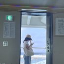 성산헬스케어 | 2025년 9월 28개월 아기랑 제주 출장 + 여행 (제주녹지헬스케어, 수협직판장, 알프스 제주, 순풍해장국)