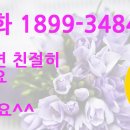 송판사꽃집 네이버블로그