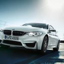 아이언게러지 이미지