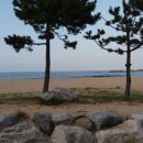 천학정 민박 이미지