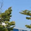 세종보헤미안뮤직페스티벌2024후기~ 앵콜앵콜 아직 안 끝났어요!