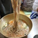 춘천새술막막국수 이미지