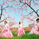 상맹방1리마을회관 이미지
