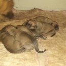 네모농장 이미지