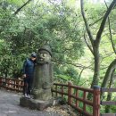 제주 안덕계곡 상록수림 이미지