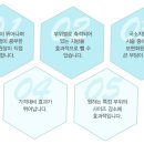 케이라인의원 이미지