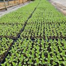 부건농장 이미지