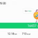 파파도나스 이미지
