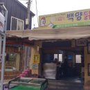 3대천왕에 나온 제주도 치킨 맛집 &#39;백양닭집&#39;